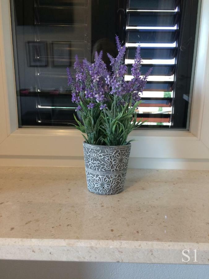 Appartement Morus Alba à Split Extérieur photo